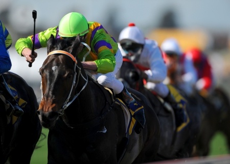 betting online horse racing